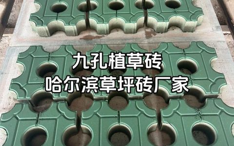 植草砖多少钱一平方？栽植密度与规格决定成本