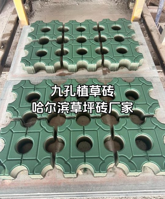 植草砖多少钱一平方？栽植密度与规格决定成本