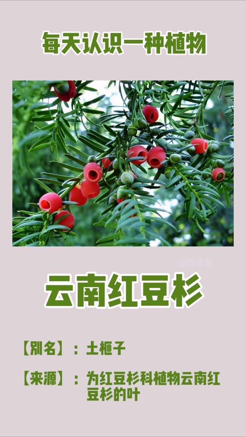 结语