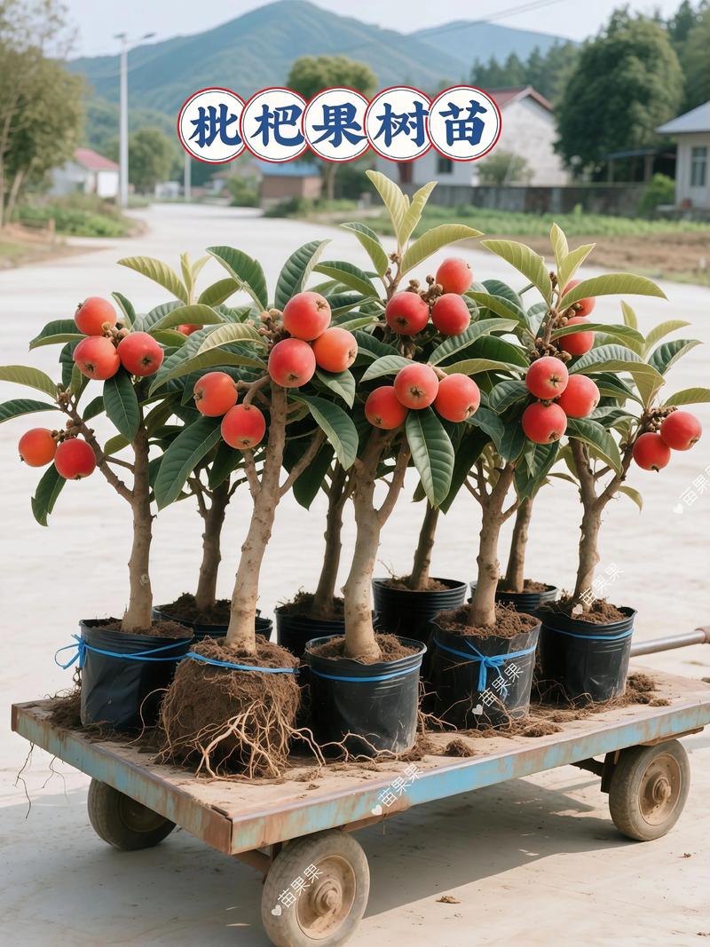 购买数量影响单价