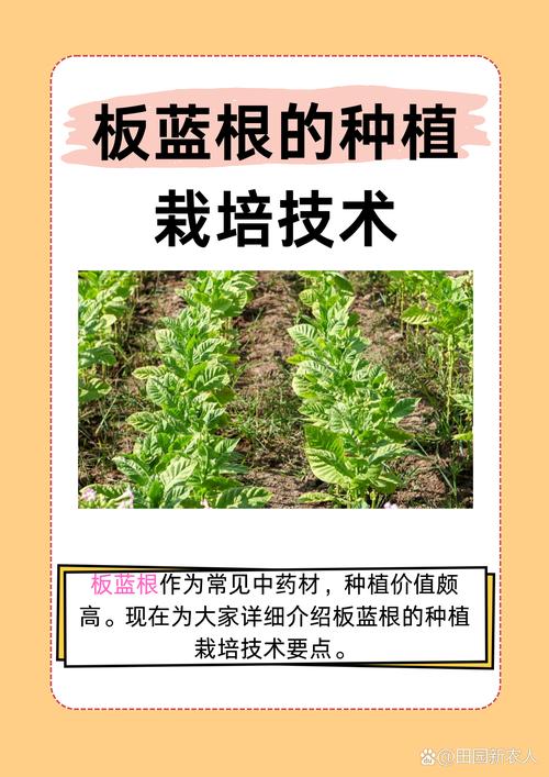 一、植物分类与基本习性