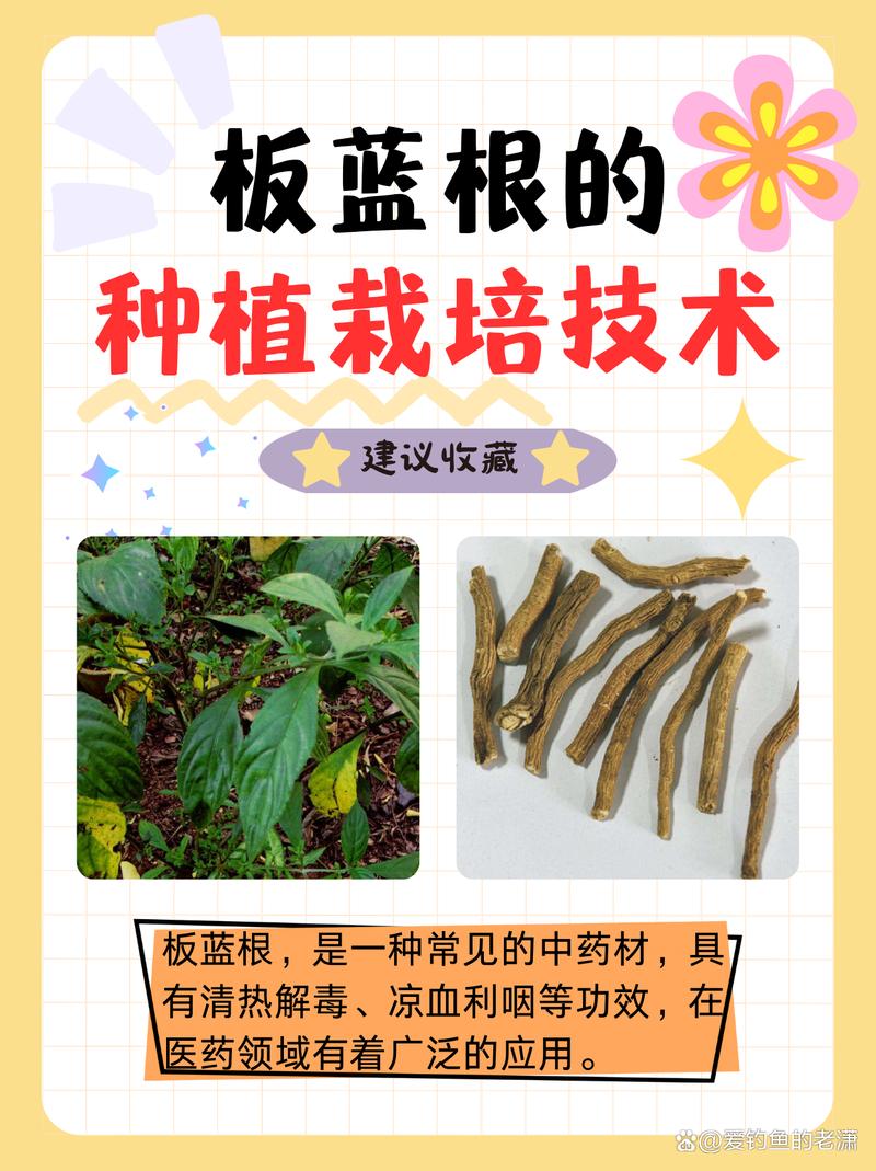 三、光照与水分模型