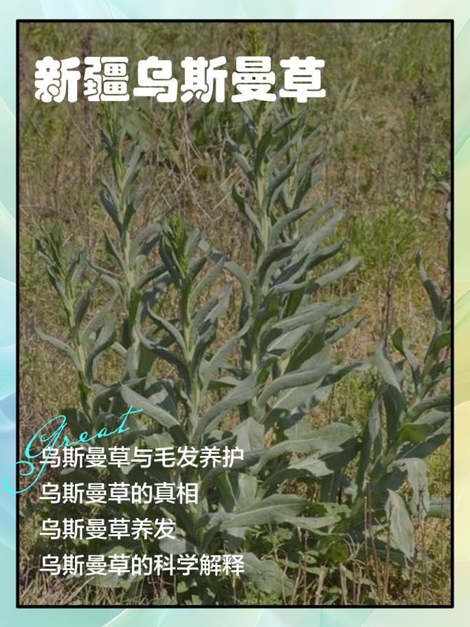 七、常见栽培误区