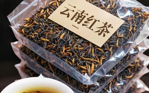 正宗古树红茶多少钱一斤？产地、树龄、季节影响报价