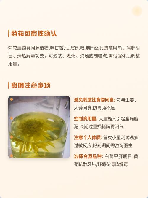 菊花放久了还能泡水吗?安全食用指南与保存建议 总结