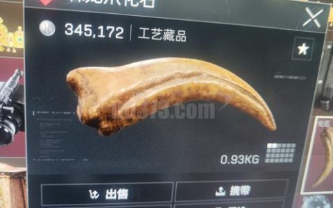 树根化石值多少钱？2025年最新价格参考