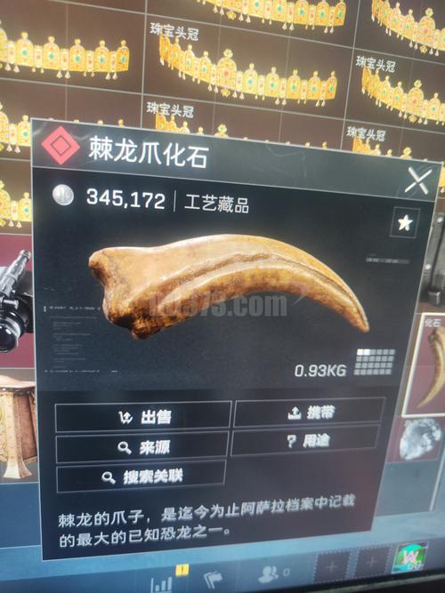 树根化石值多少钱?2025年最新价格参考 价格快速参考