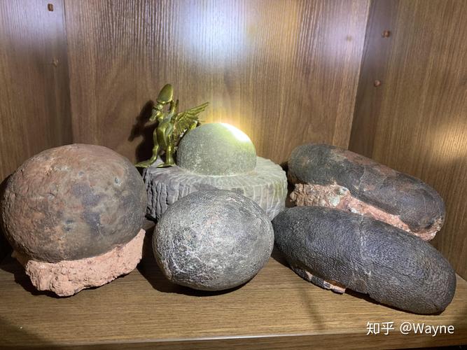 树根化石值多少钱?2025年最新价格参考 二、产地:稀缺性左右价值