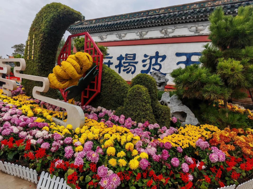 河南什么菊花出名?一文看懂开封菊花的名品与赏菊攻略 河南还有哪些地方可以赏菊?