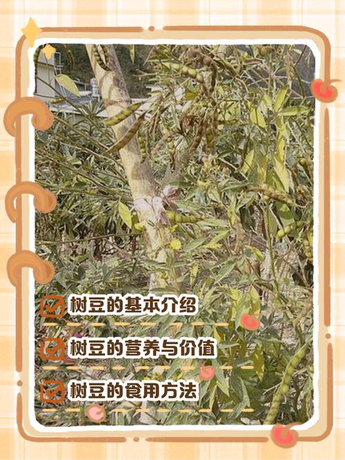 药用常识：传统记载中的用途