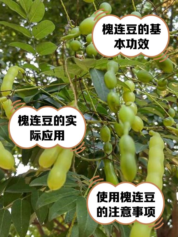 常见误区
