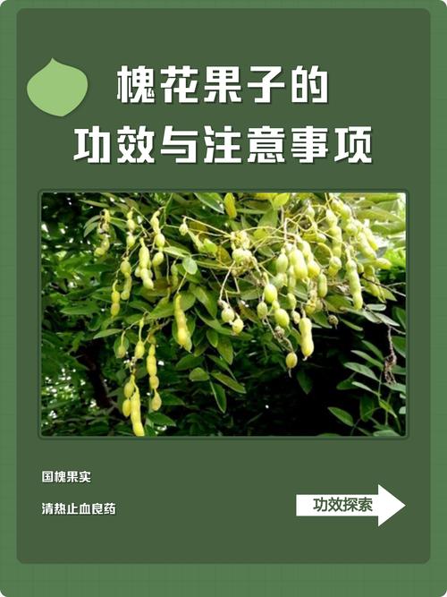 安全性：必须警惕的风险
