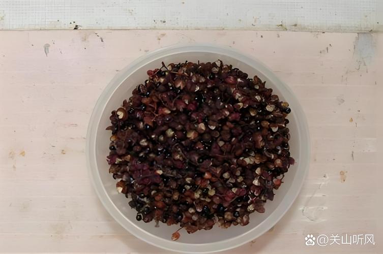 花椒籽有助于睡眠吗?园艺视角下的安眠新探索 实际应用指南