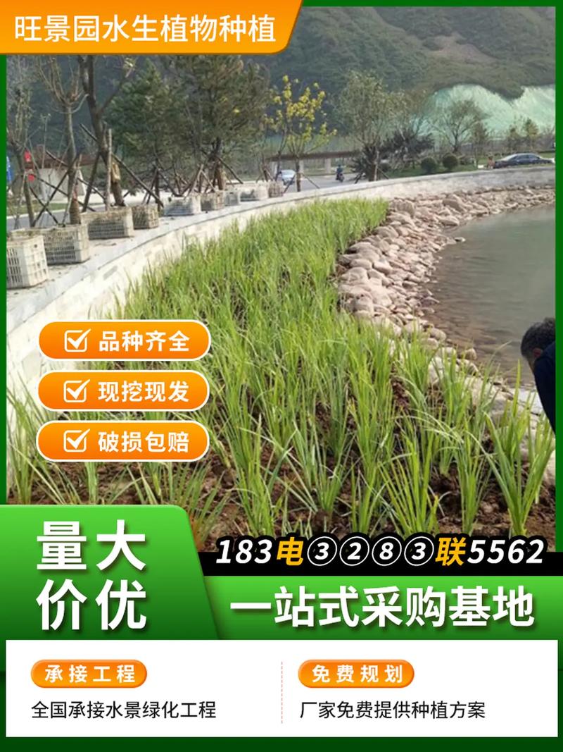 采购数量：量大从优，批发价差明显