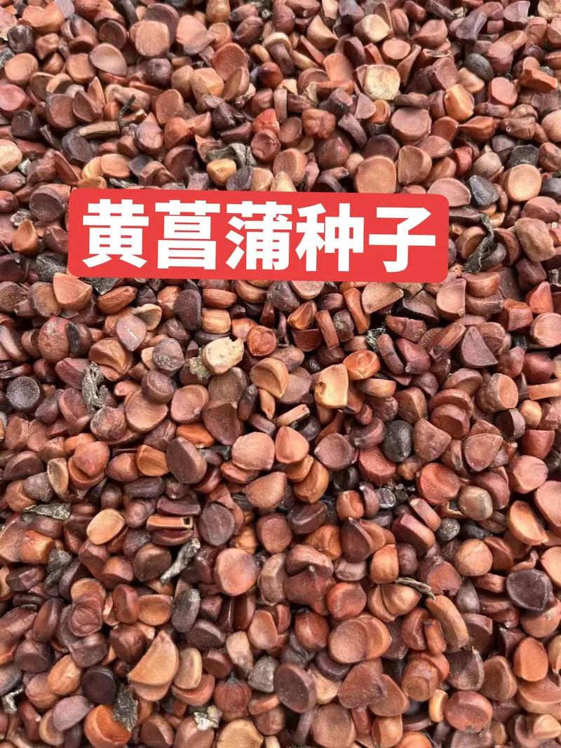 季节与采购时机：旺季价格上浮