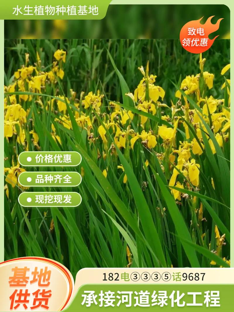 价格与影响因素汇总表