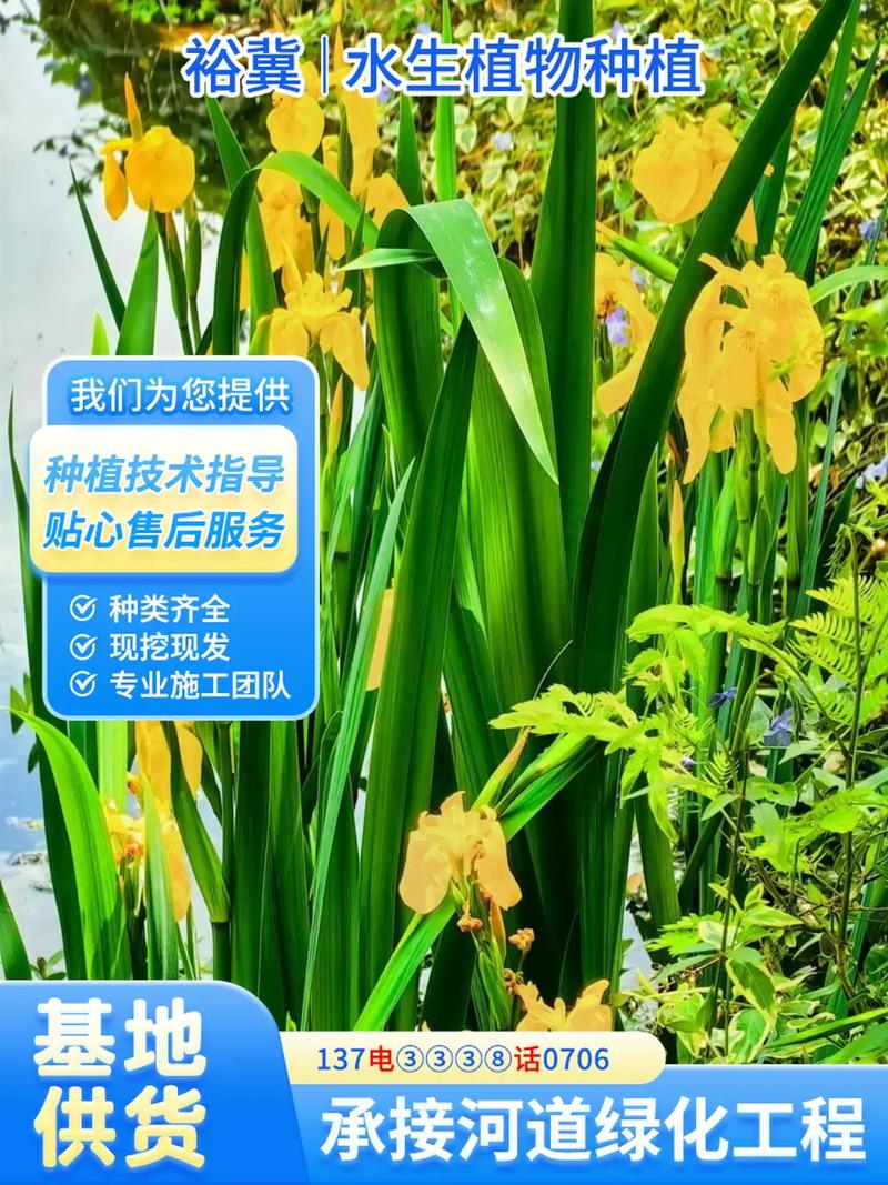 常见问题（FAQ）