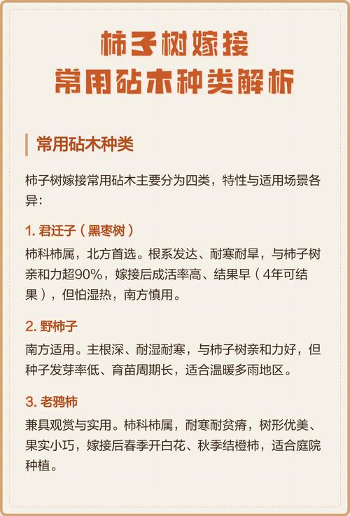 总结：嫁接后的核心管理要点
