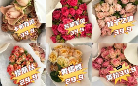 专业玫瑰批发采购指南：三步避开虚假渠道，锁定优质供应商
