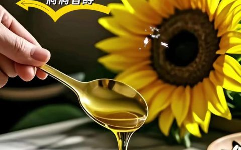 葵花籽油适合炒菜吗？园艺视角下的油脂选择与健康烹饪