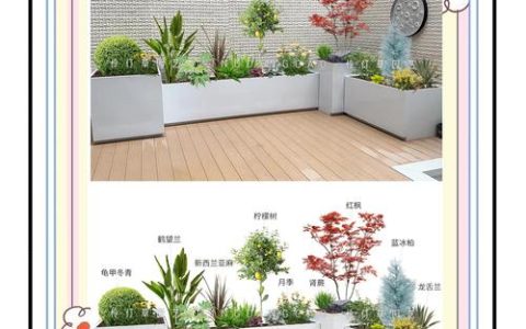 欧松板 vs 香杉木：园艺花箱与围栏选材终极对比（2026版）
