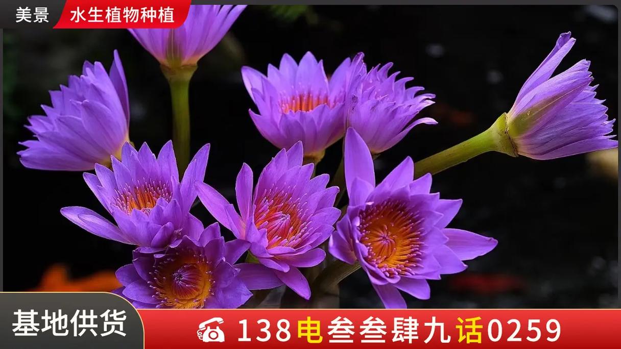 常见错误与规避策略
