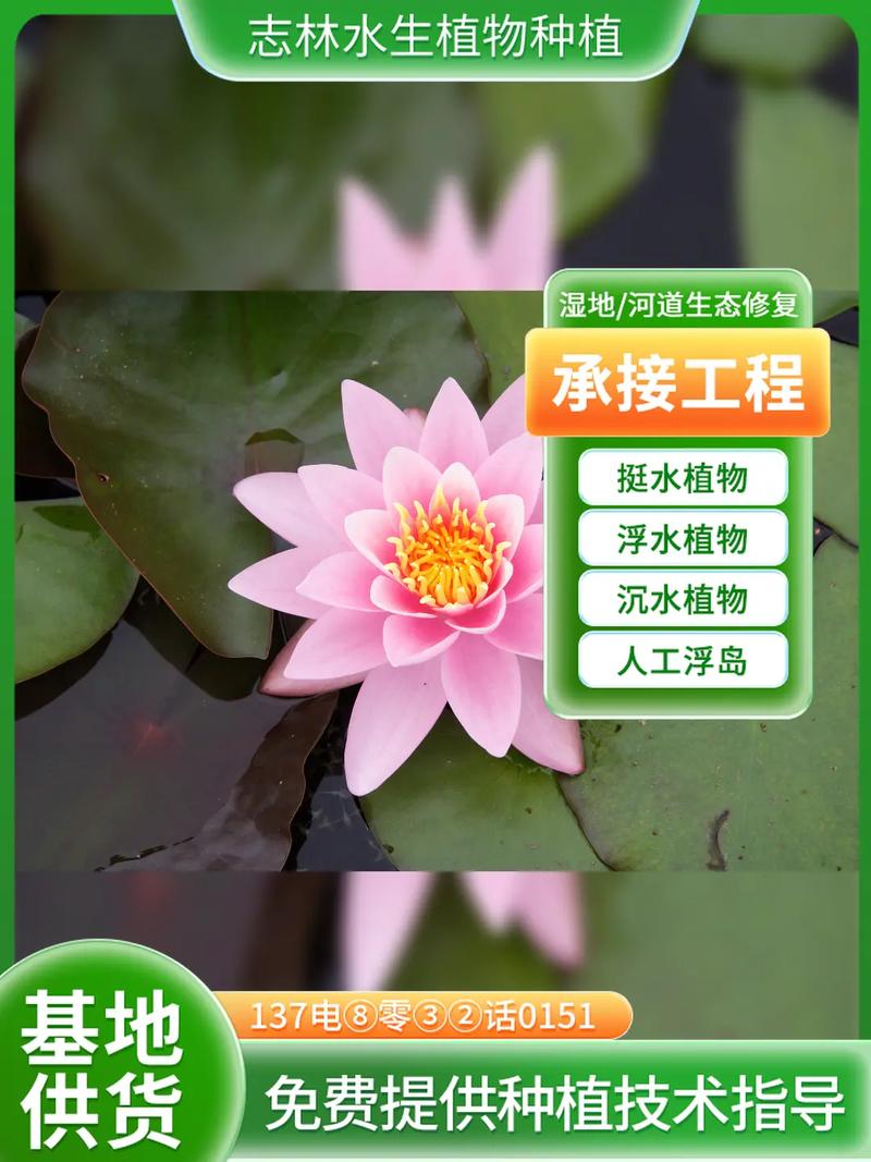总结