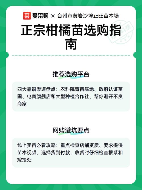 柑橘苗采购渠道选择指南:三步验证法确保品种纯正、根系健康 售后保障政策:务必书面约定