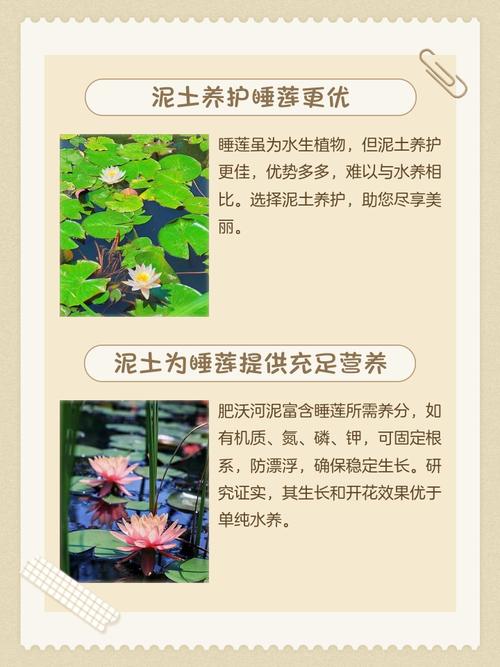 总结：记住三个关键参数
