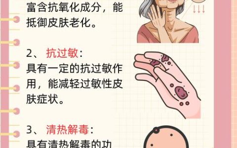 菊花肿了怎么办？速查养护指南与根肿病、虫瘿精准解决方案