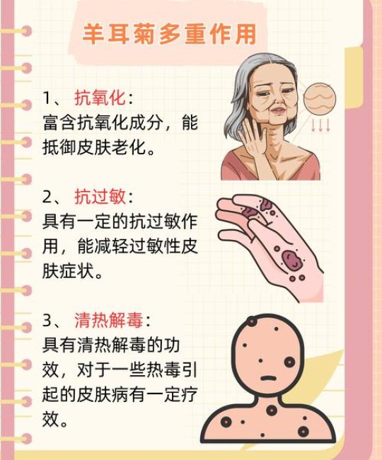 菊花肿了怎么办？速查养护指南与根肿病、虫瘿精准解决方案