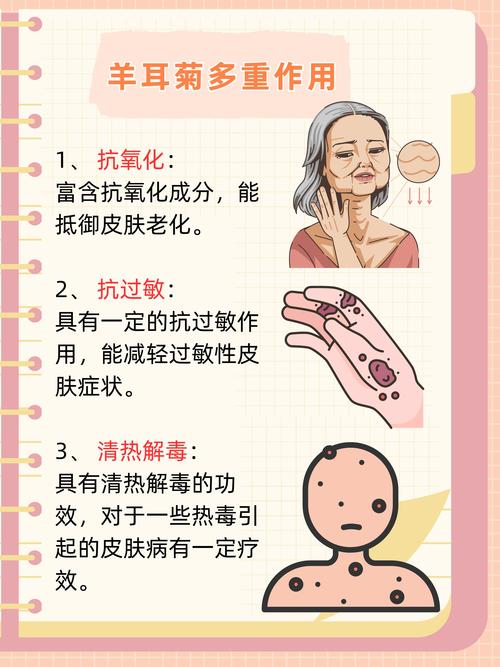 菊花肿了怎么办？速查养护指南与根肿病、虫瘿精准解决方案