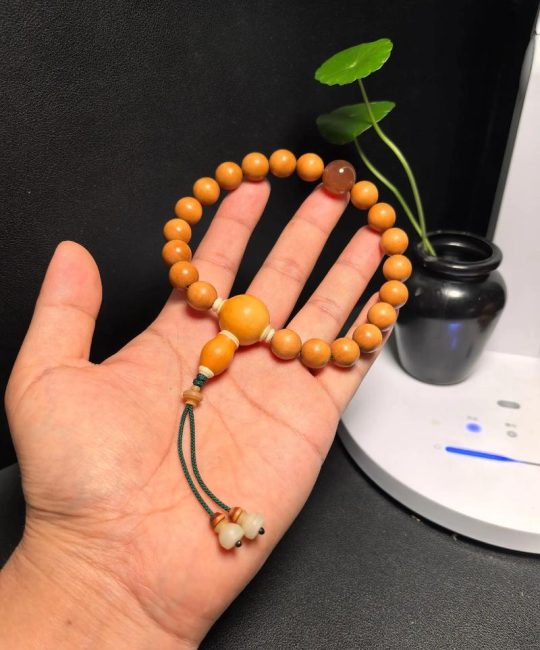 黄杨木手串的价值评估与园林种植规格解析