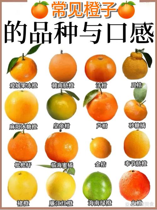三、总结与选择建议