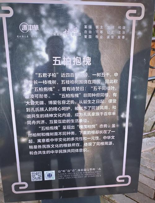 槐树象征什么?从“三公宰辅”到庭院荫凉的千年文化符号 庭院栽种槐树:规格选择与养护要点