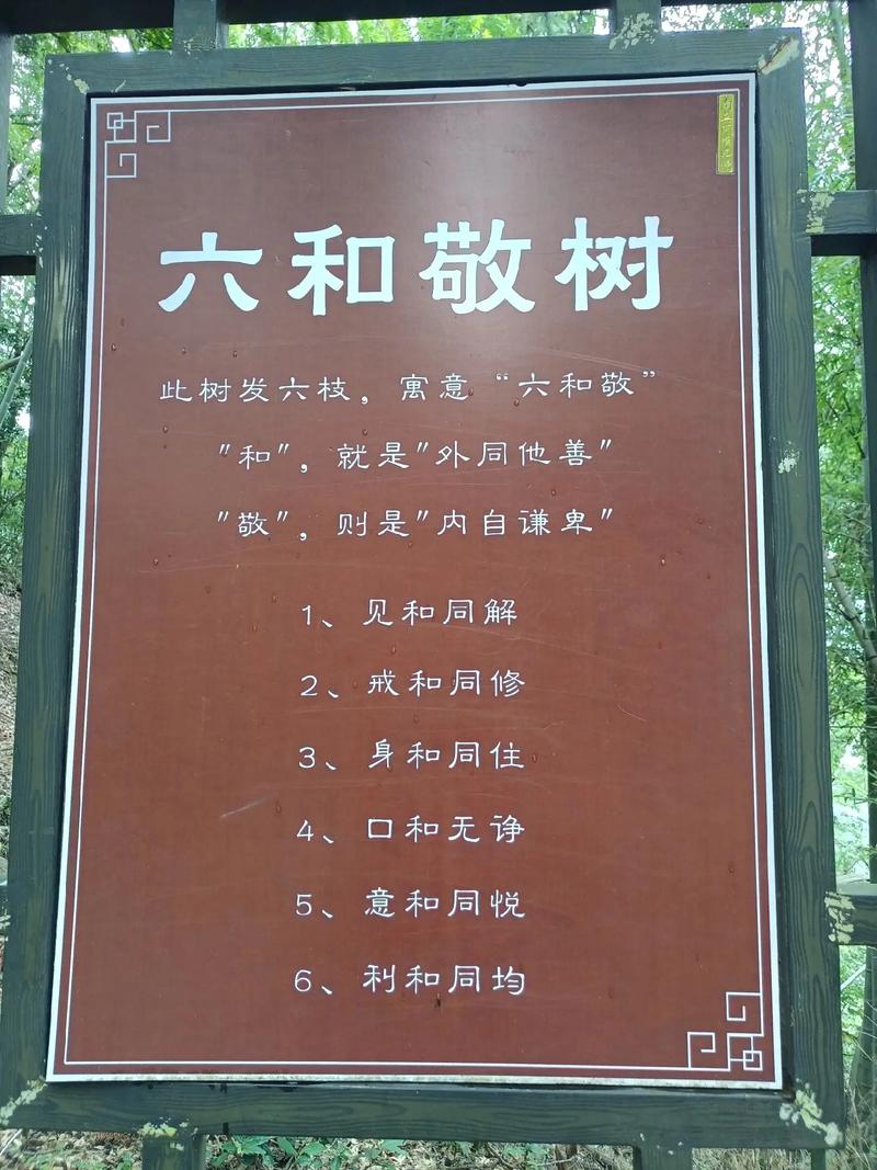 槐树象征什么?从“三公宰辅”到庭院荫凉的千年文化符号 常见问题FAQ