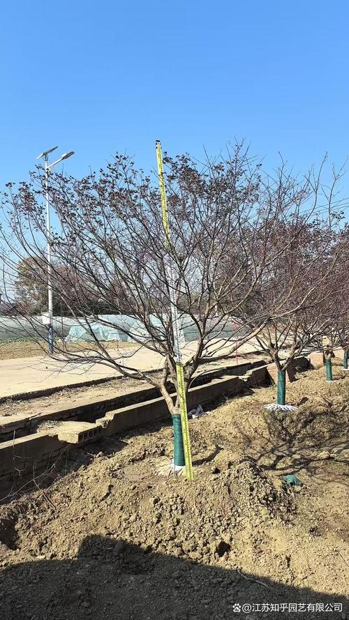 三、场景化选择建议