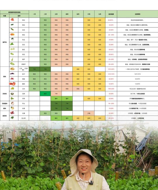 芽苗菜都能种什么菜？这份家庭种植清单请收好