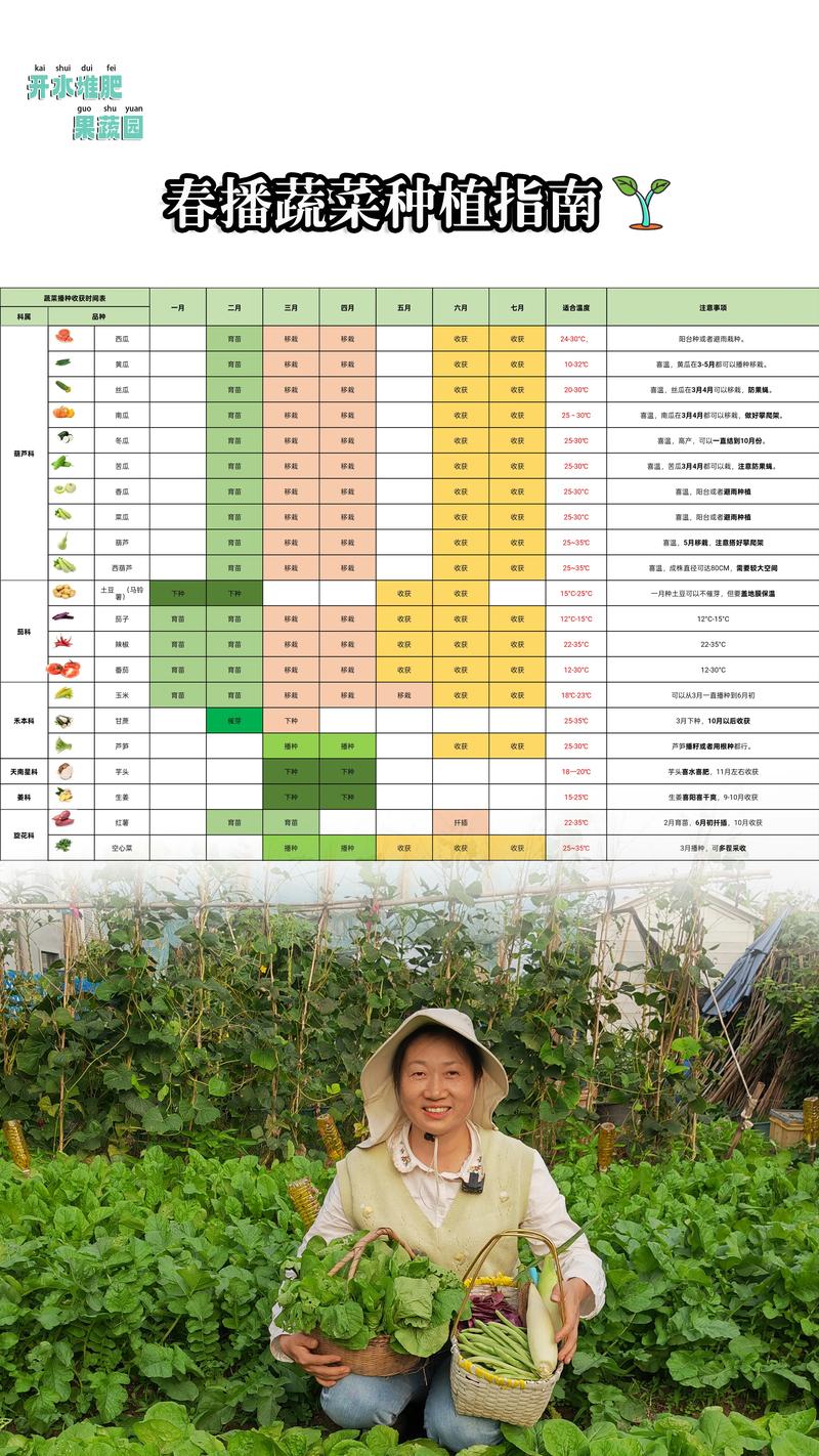 芽苗菜都能种什么菜?这份家庭种植清单请收好 一、豆类芽苗菜:出芽快、产量高、口感脆