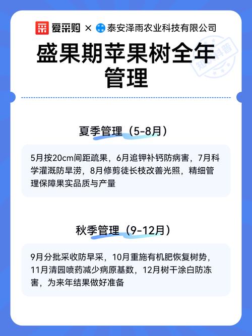 苹果树结果多少年?新手必看的结果年限与盛果期管理全攻略 影响苹果树结果年限的关键因素