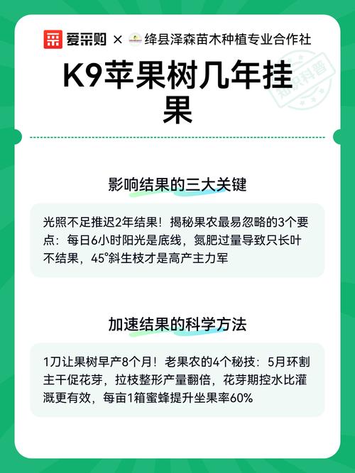 苹果树结果多少年?新手必看的结果年限与盛果期管理全攻略 苹果树不结果或结果少的常见原因与解决