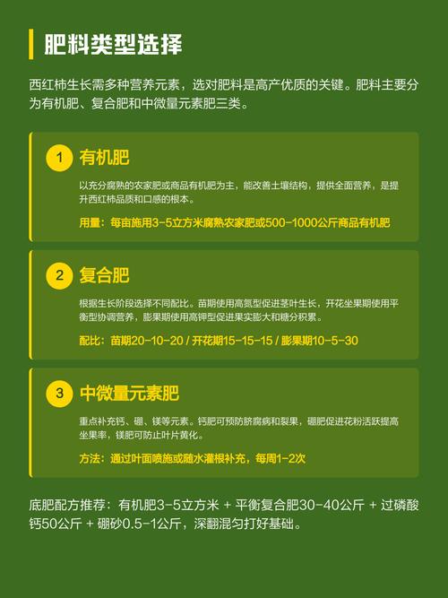 西红柿育苗肥料选择与使用全攻略 播种期:萌芽前无需追肥