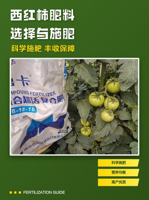 西红柿育苗肥料选择与使用全攻略 苗期追肥:真叶展开后分阶段供给