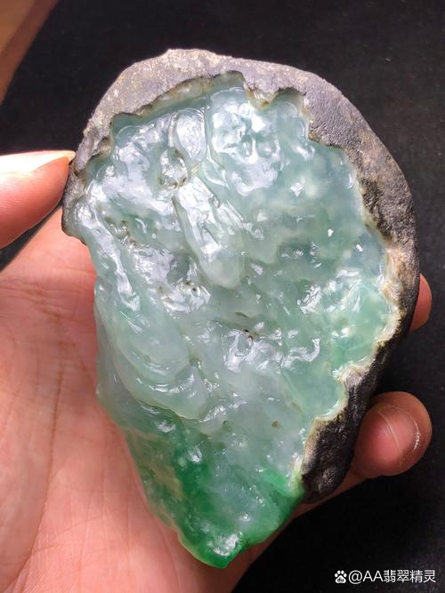 莫西沙雪花棉值钱吗?——从园艺视角看翡翠原石的收藏价值 园艺中的“雪花棉”美学