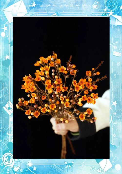 买来的腊梅怎么醒花?掌握正确步骤,枝头繁花久开不败 买来的腊梅怎么醒花?掌握正确步骤,枝头繁花久开不败