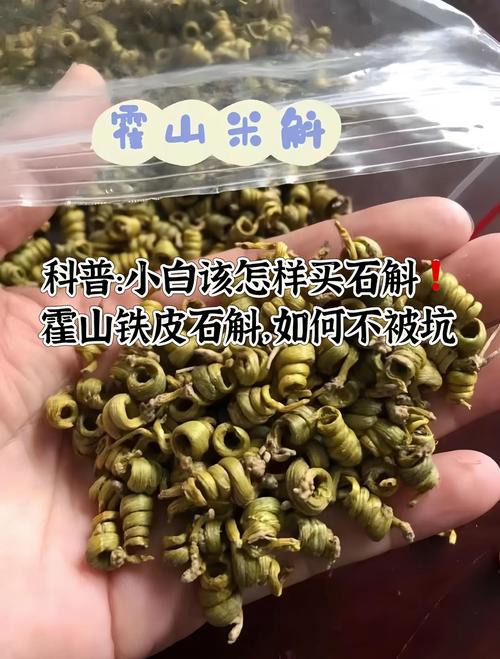 石斛苗哪里买?科学选购渠道与供应商核查指南 五、检疫与售后:法律文件比口头承诺更重要