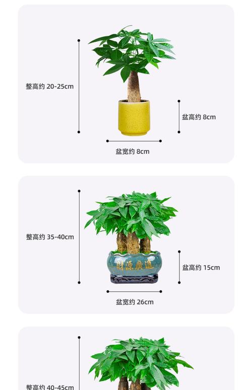 影响因素四：数量