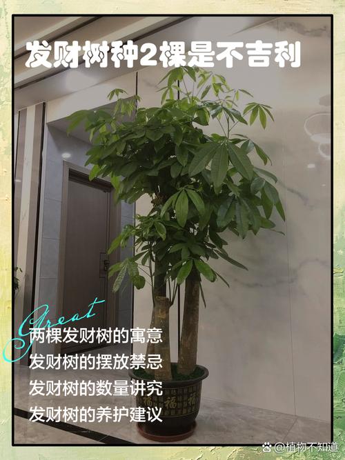 常见问题（FAQ）