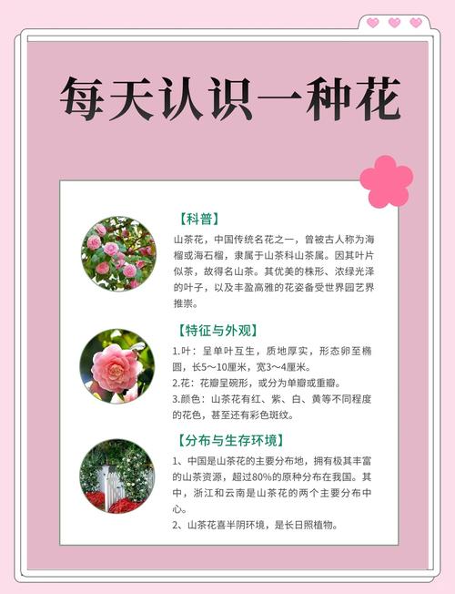 山茶花:别名、原曲与栽培指南 生长习性