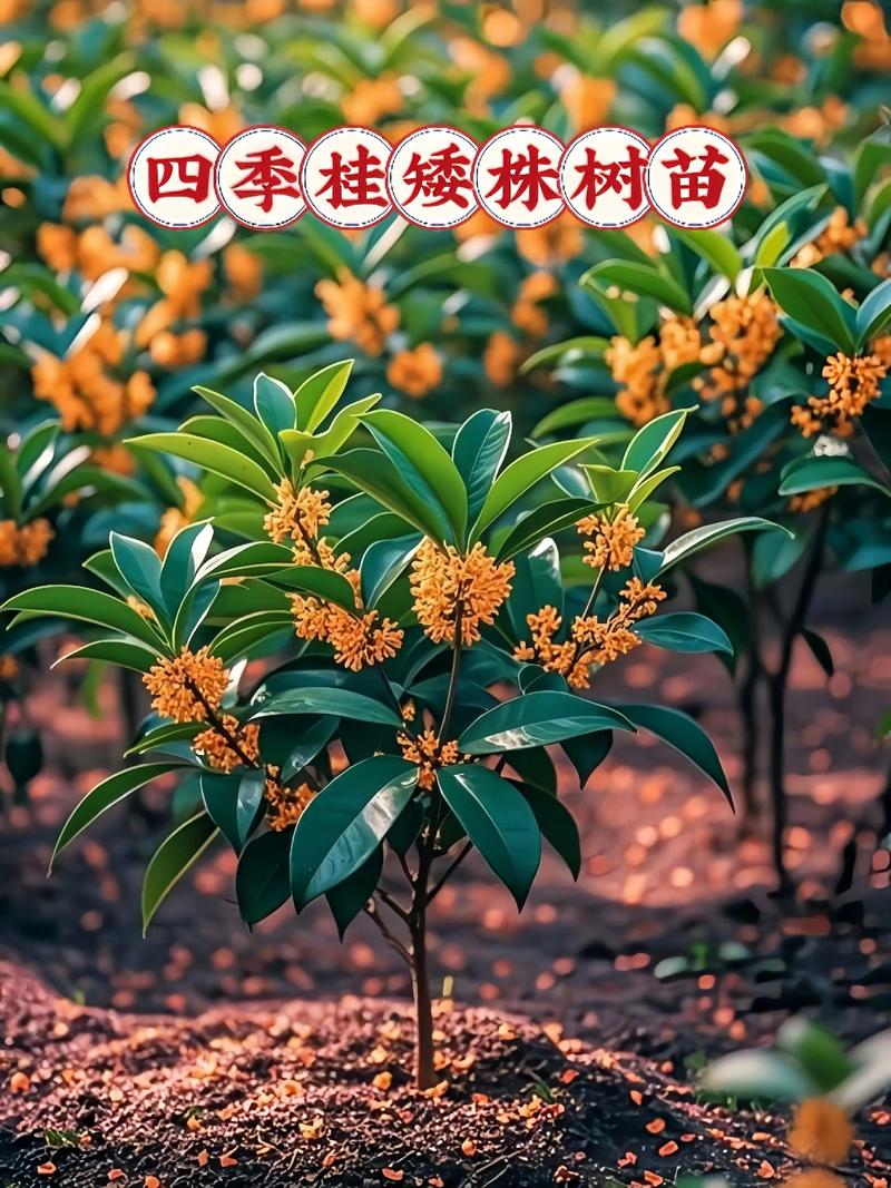 三、绝对不能种的地方